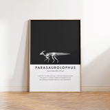 Parasaurolophus Dinosaur Fact Print