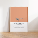 Velociraptor Dinosaur Fact Print